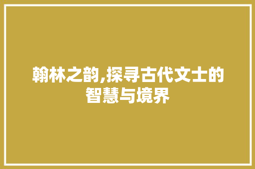 翰林之韵,探寻古代文士的智慧与境界 工作总结
