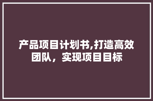 产品项目计划书,打造高效团队，实现项目目标