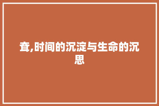 耷,时间的沉淀与生命的沉思