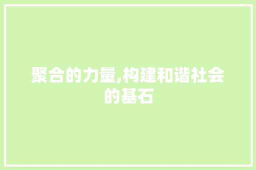 聚合的力量,构建和谐社会的基石 工作类