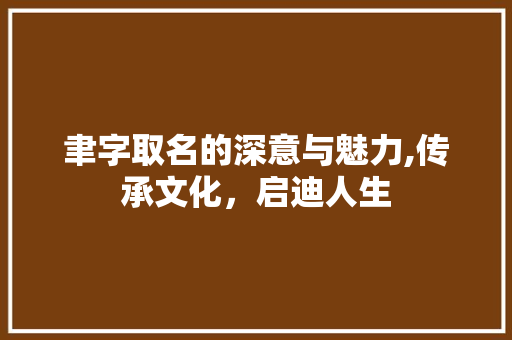 聿字取名的深意与魅力,传承文化，启迪人生 采访稿
