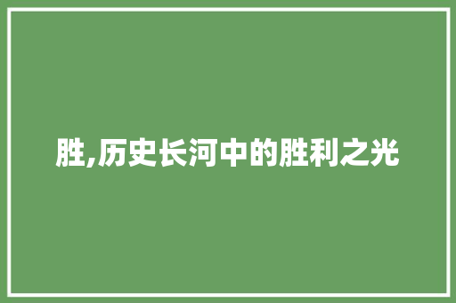 胜,历史长河中的胜利之光
