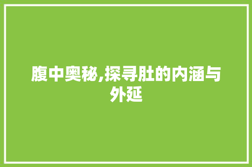 腹中奥秘,探寻肚的内涵与外延