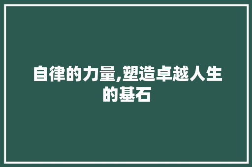自律的力量,塑造卓越人生的基石