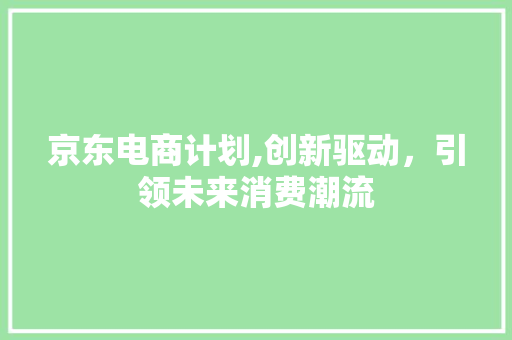 京东电商计划,创新驱动，引领未来消费潮流