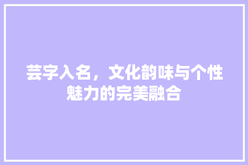 芸字入名，文化韵味与个性魅力的完美融合