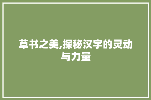 草书之美,探秘汉字的灵动与力量