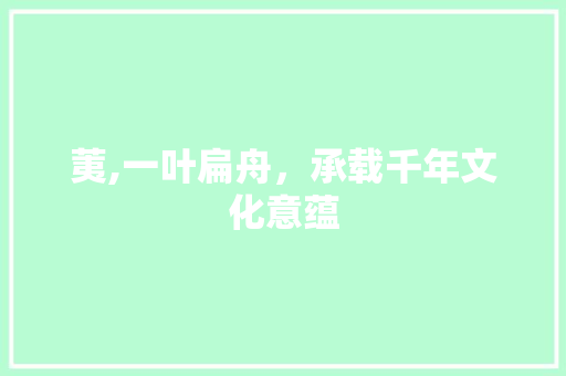 荑,一叶扁舟，承载千年文化意蕴