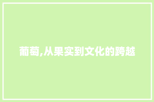 葡萄,从果实到文化的跨越