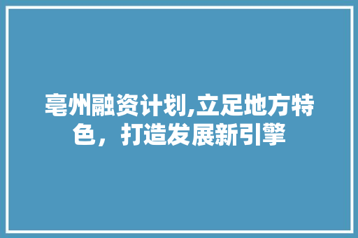 亳州融资计划,立足地方特色，打造发展新引擎