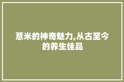 薏米的神奇魅力,从古至今的养生佳品 商业文稿