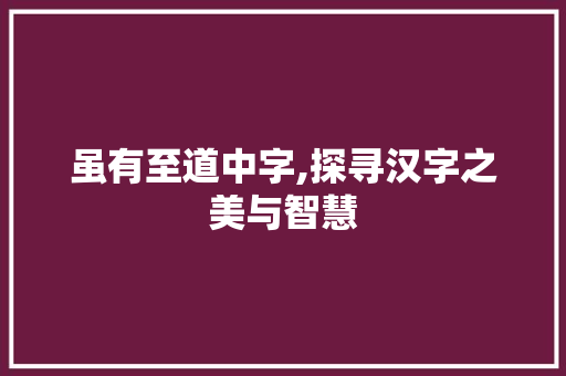 虽有至道中字,探寻汉字之美与智慧 生活类