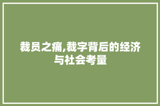 裁员之痛,裁字背后的经济与社会考量