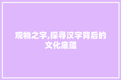 观物之字,探寻汉字背后的文化底蕴 特写稿