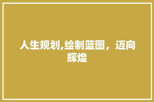 人生规划,绘制蓝图，迈向辉煌