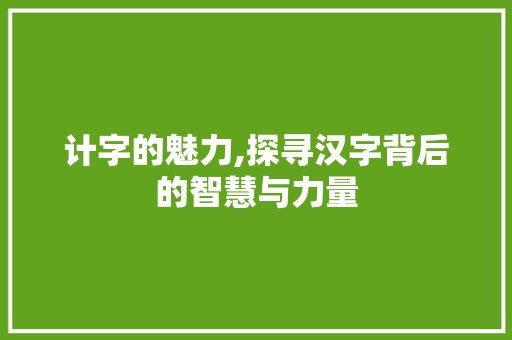 计字的魅力,探寻汉字背后的智慧与力量