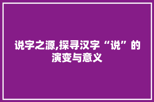 说字之源,探寻汉字“说”的演变与意义 工作总结