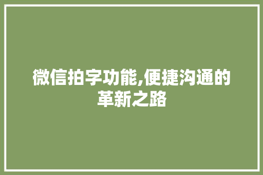 微信拍字功能,便捷沟通的革新之路