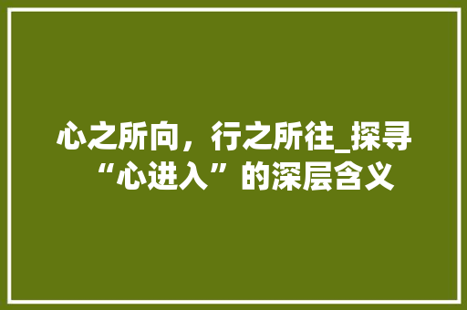 心之所向，行之所往_探寻“心进入”的深层含义 工作报告