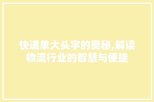 快递单大头字的奥秘,解读物流行业的智慧与便捷