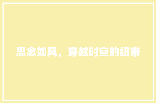 思念如风，穿越时空的纽带