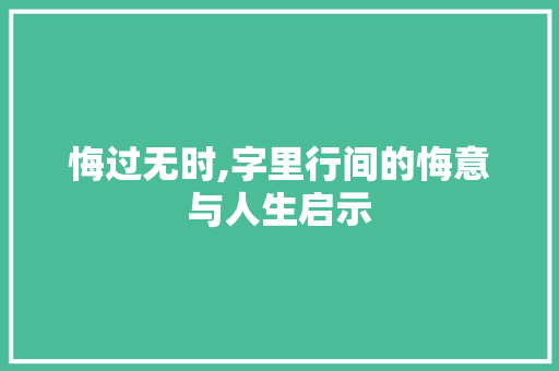 悔过无时,字里行间的悔意与人生启示 生活感悟