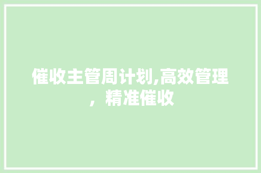 催收主管周计划,高效管理，精准催收