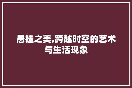 悬挂之美,跨越时空的艺术与生活现象