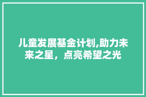 儿童发展基金计划,助力未来之星，点亮希望之光