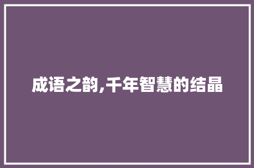 成语之韵,千年智慧的结晶