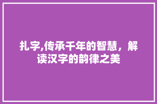 扎字,传承千年的智慧，解读汉字的韵律之美