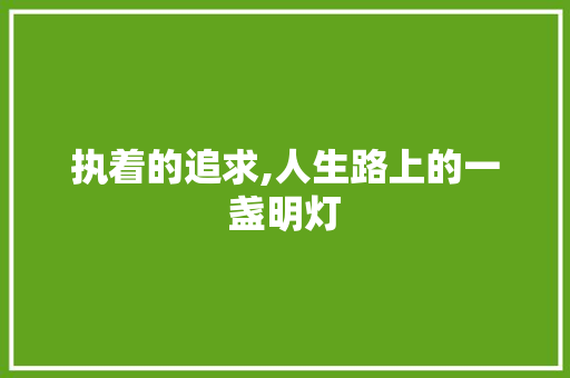 执着的追求,人生路上的一盏明灯