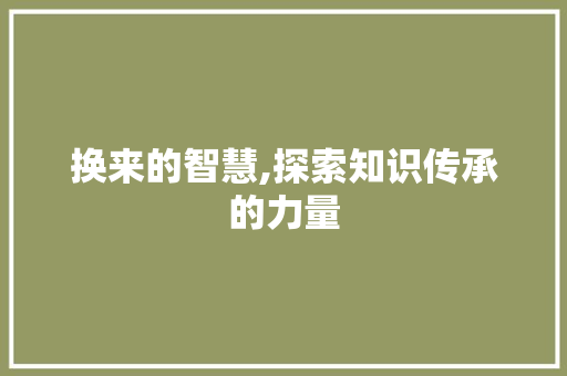 换来的智慧,探索知识传承的力量