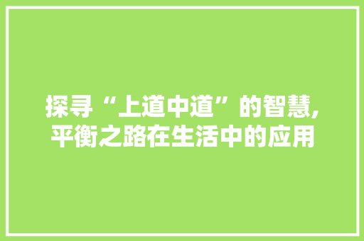 探寻“上道中道”的智慧,平衡之路在生活中的应用