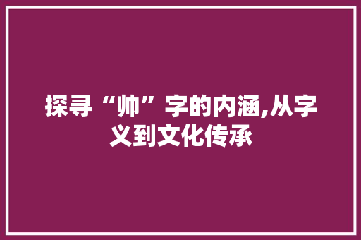 探寻“帅”字的内涵,从字义到文化传承