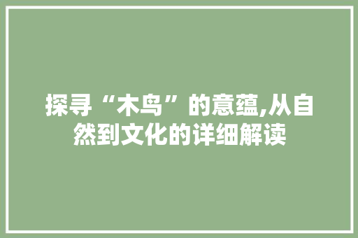 探寻“木鸟”的意蕴,从自然到文化的详细解读