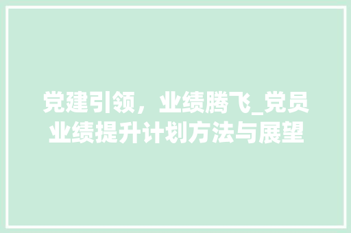 党建引领，业绩腾飞_党员业绩提升计划方法与展望