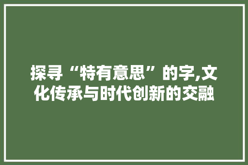 探寻“特有意思”的字,文化传承与时代创新的交融 工作类