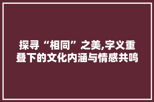 探寻“相同”之美,字义重叠下的文化内涵与情感共鸣