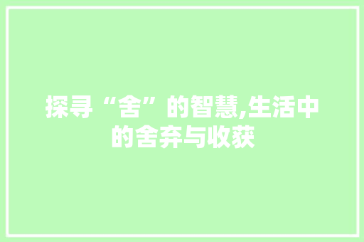 探寻“舍”的智慧,生活中的舍弃与收获