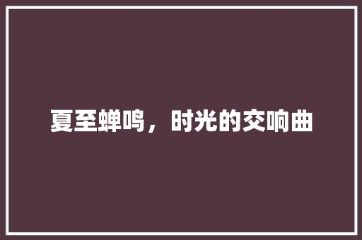 夏至蝉鸣，时光的交响曲