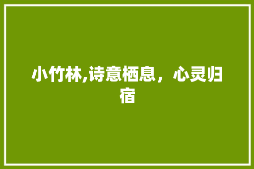 小竹林,诗意栖息，心灵归宿
