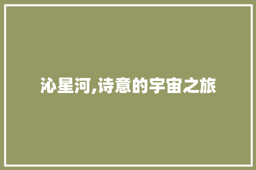 沁星河,诗意的宇宙之旅