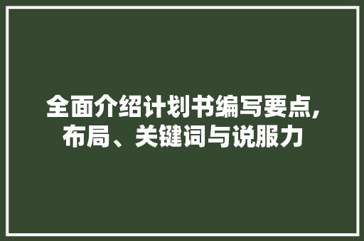全面介绍计划书编写要点,布局、关键词与说服力