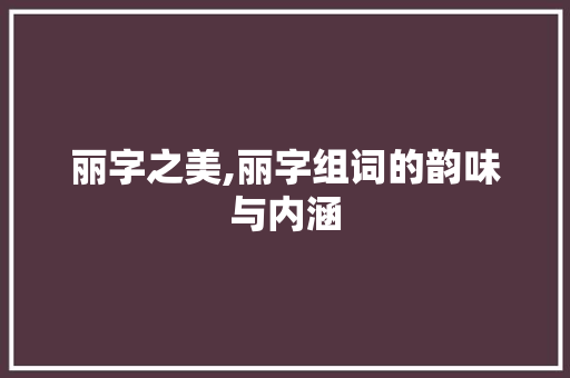 丽字之美,丽字组词的韵味与内涵