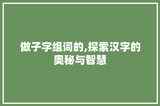 做子字组词的,探索汉字的奥秘与智慧 工作报告