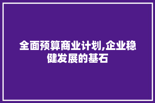 全面预算商业计划,企业稳健发展的基石