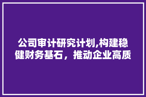 公司审计研究计划,构建稳健财务基石，推动企业高质量发展