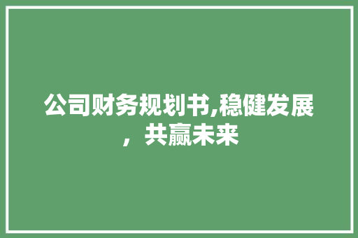 公司财务规划书,稳健发展，共赢未来