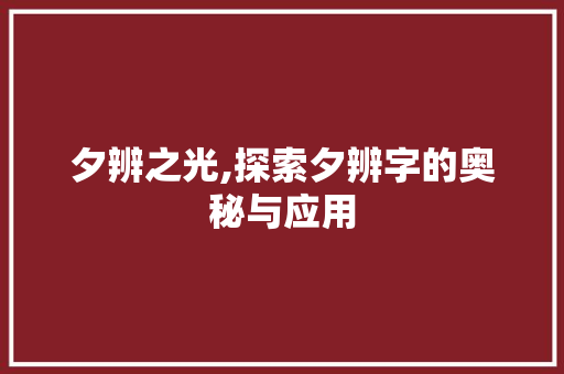 夕辨之光,探索夕辨字的奥秘与应用